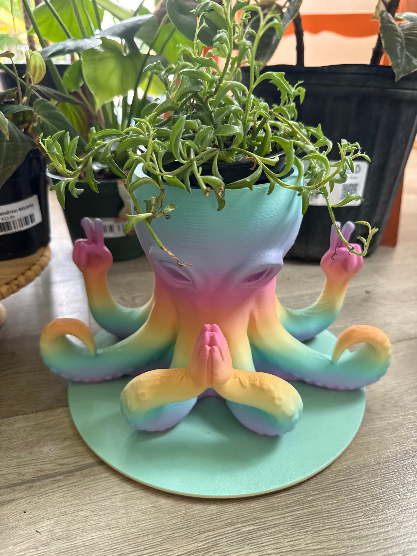 Coastal Ray 3D Octopus (large)