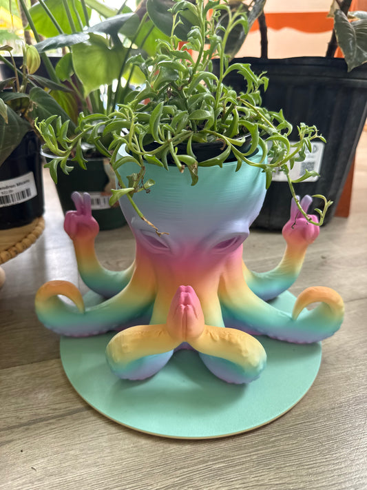 Coastal Ray 3D Octopus (large)