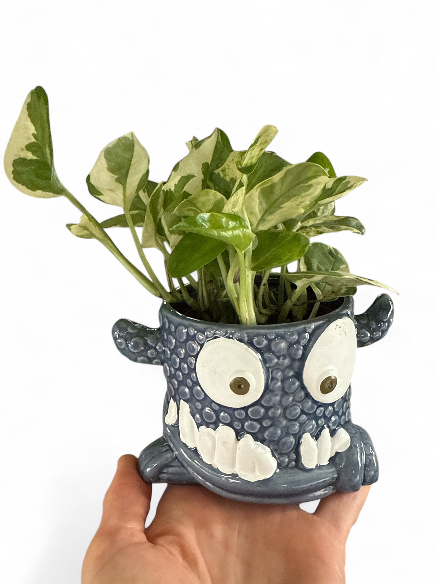 3.5” Snaggle Tooth Planter