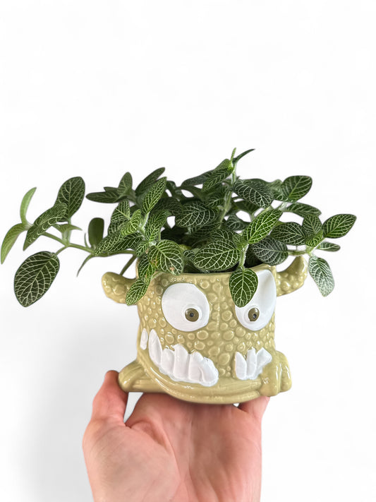 3.5” Snaggle Tooth Planter