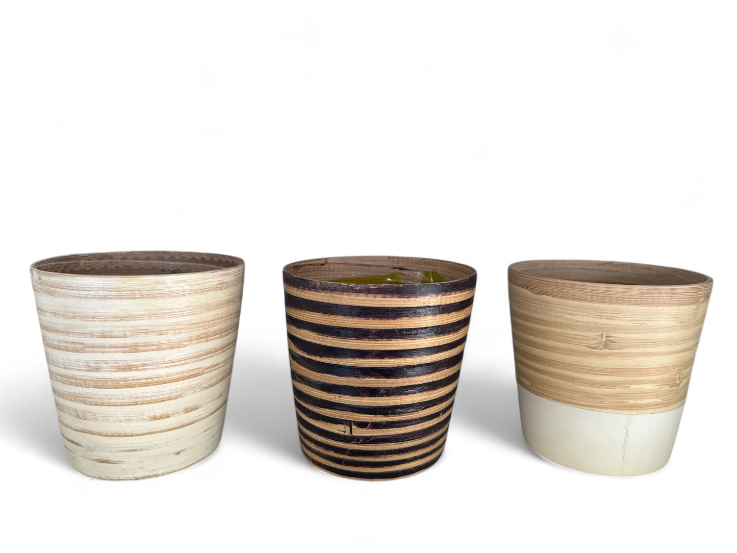 4” bamboo pot