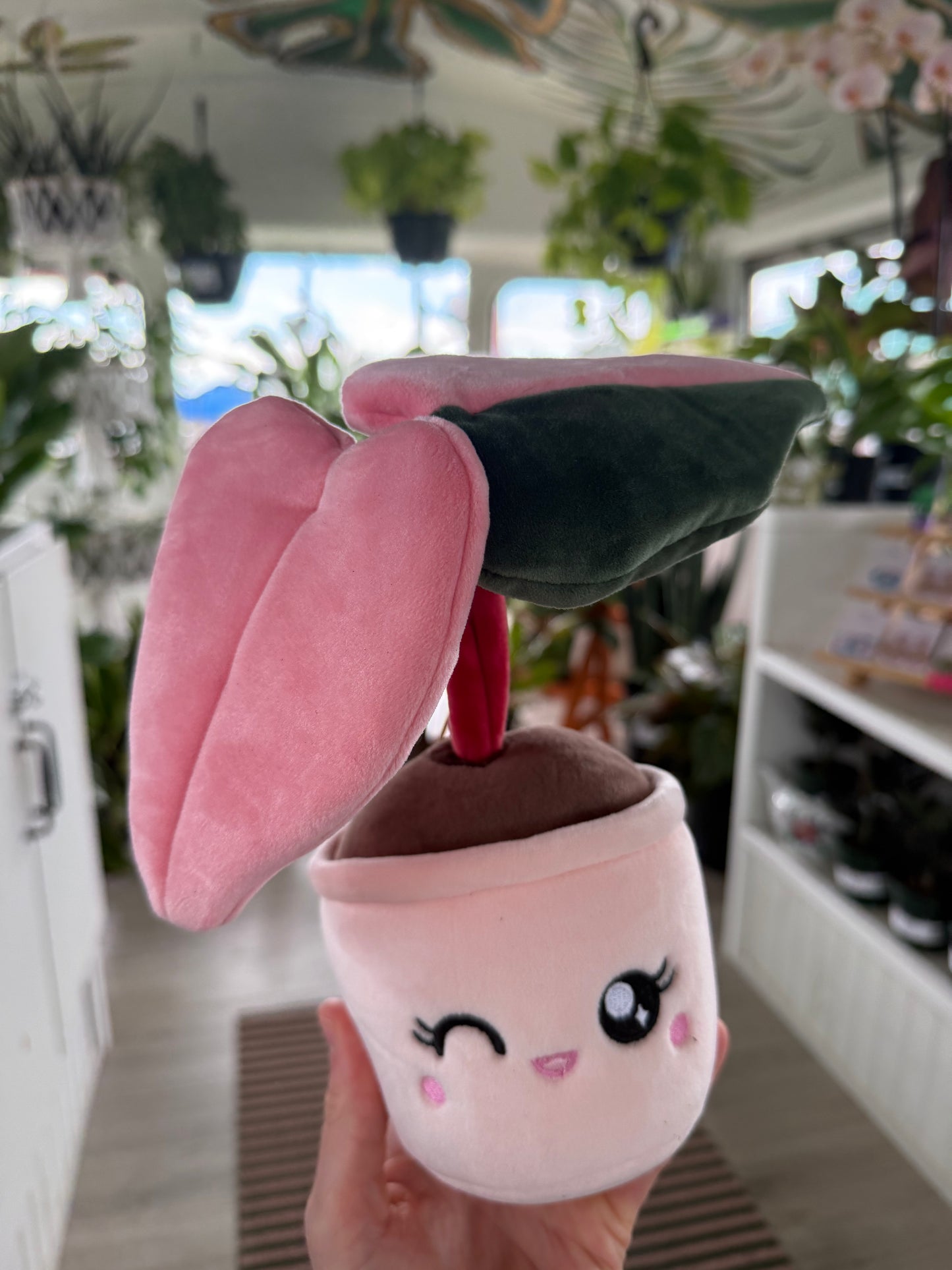 Blushiez - Pink Princess Philodendron