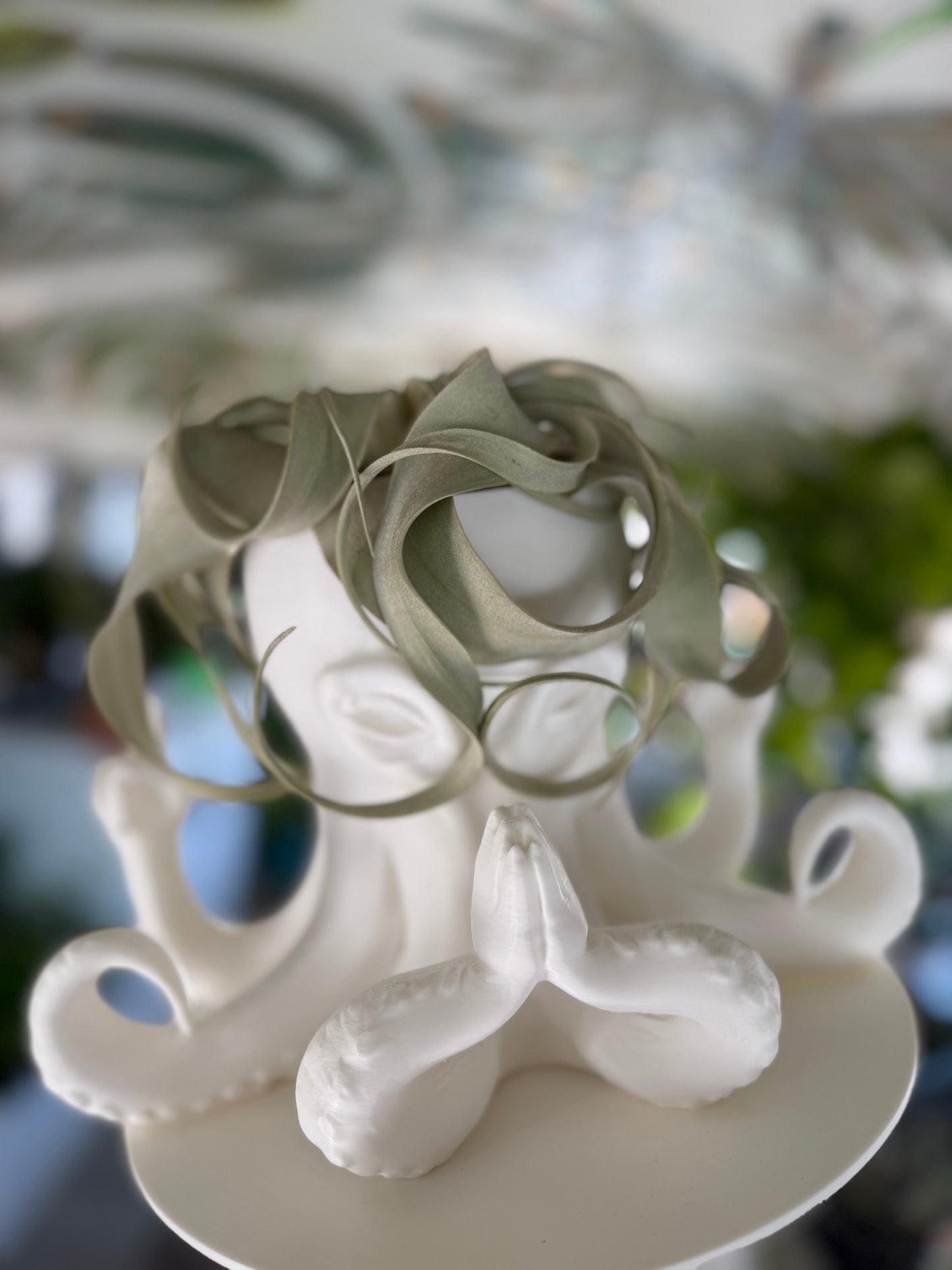 Coastal Ray 3D Octopus (large)
