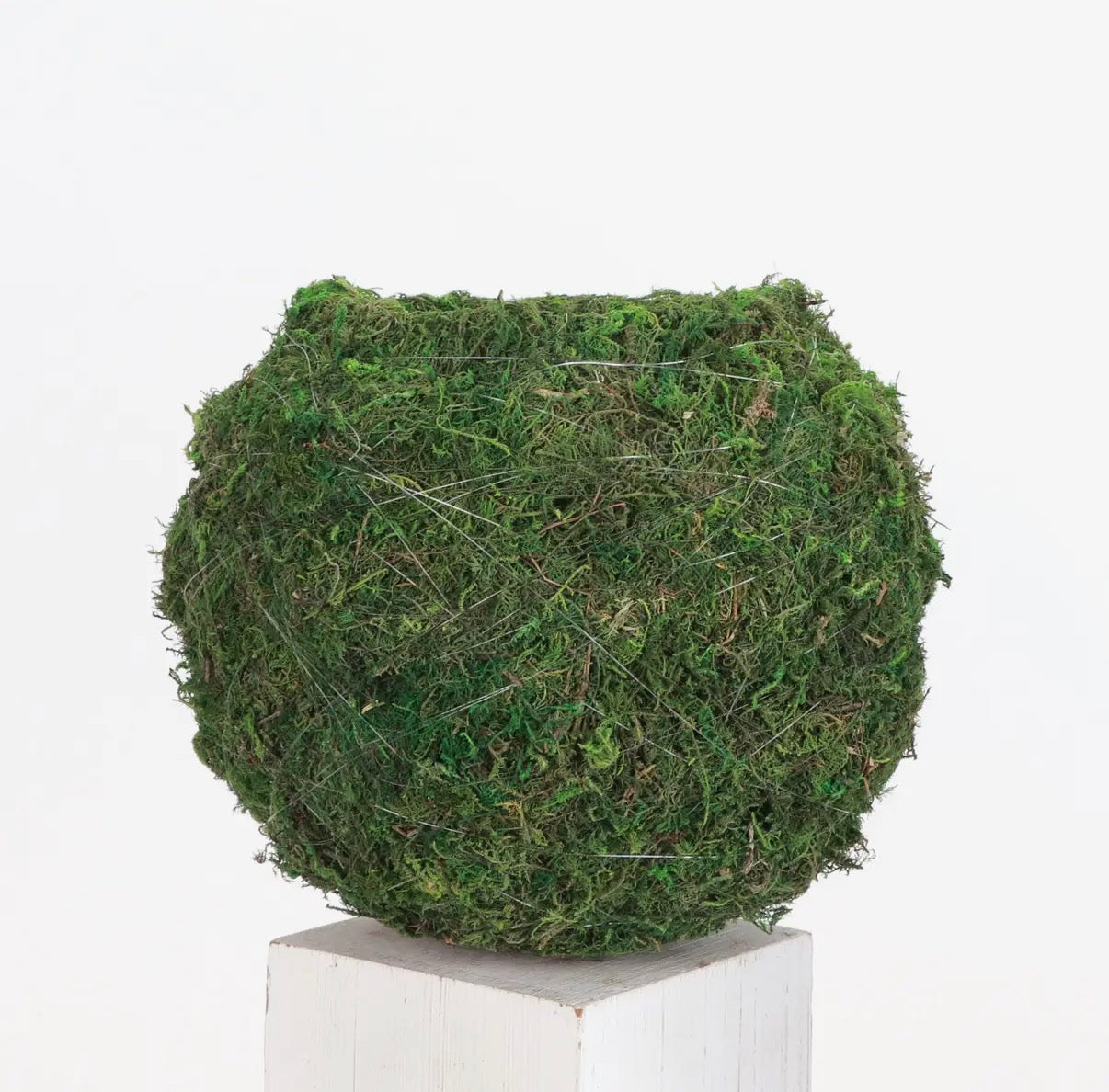 Kokedama (without plant)