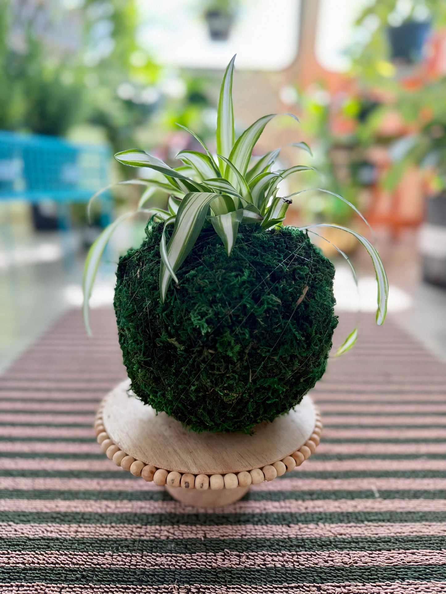 Kokedama (without plant)