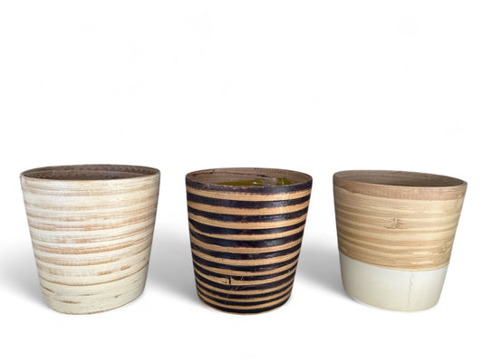 4” bamboo pot