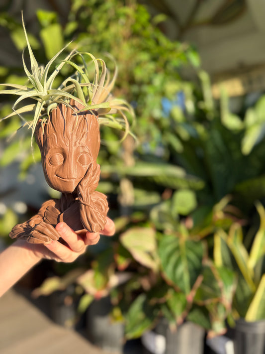 Coastal Ray 3D printed pots