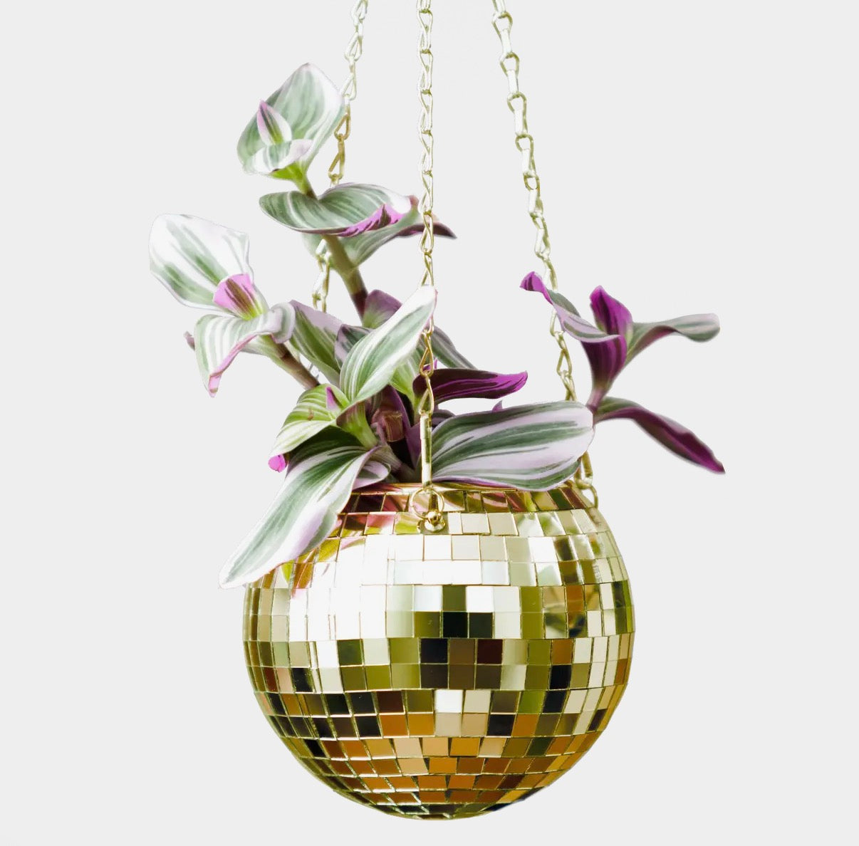 6” Disco Ball hanging planter - Gold