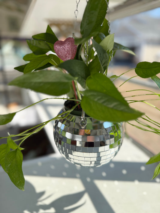 6” Disco Ball hanging planter - Silver