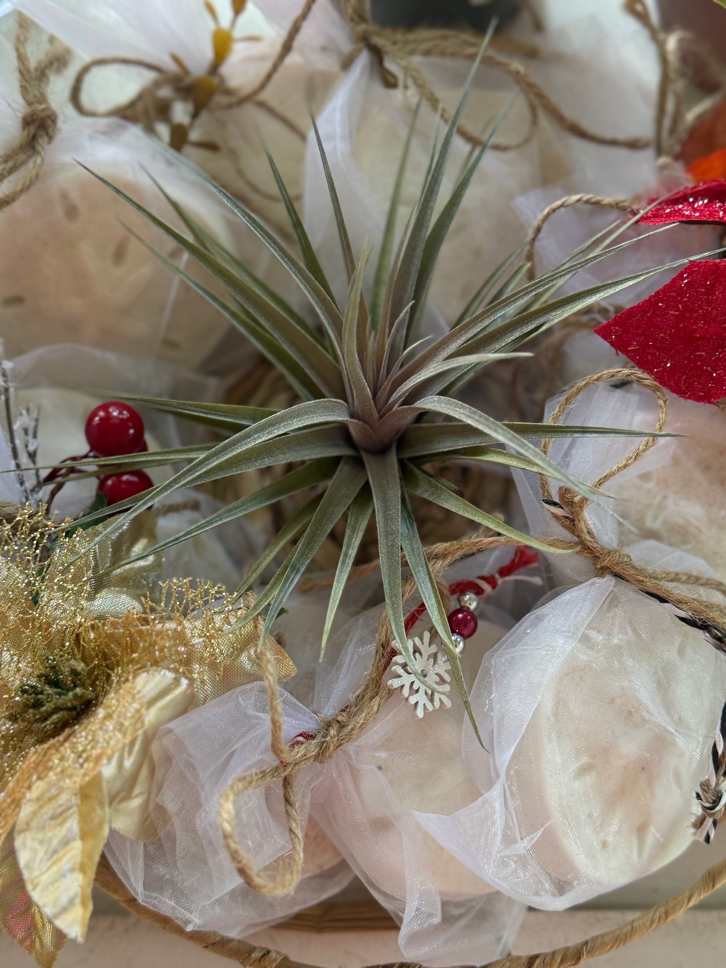 Blackberry Lane Loofah Soap