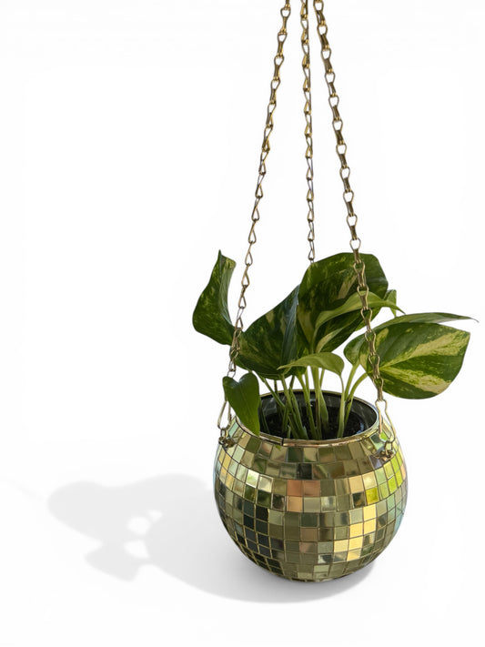 6” Disco Ball hanging planter - Gold