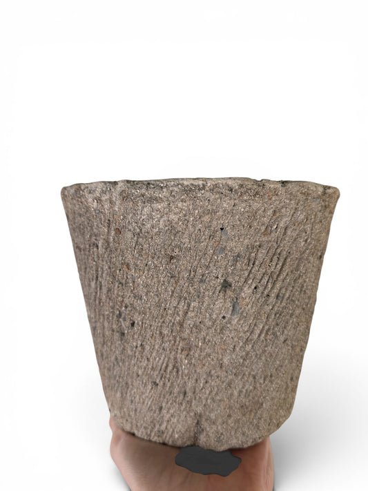 6” Palmetto Planters
