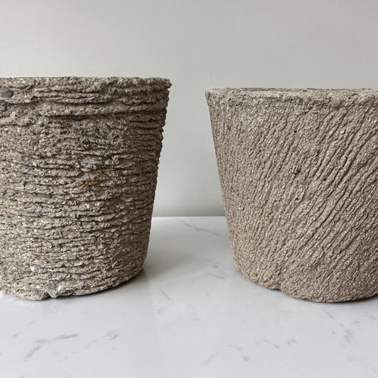 6” Palmetto Planters