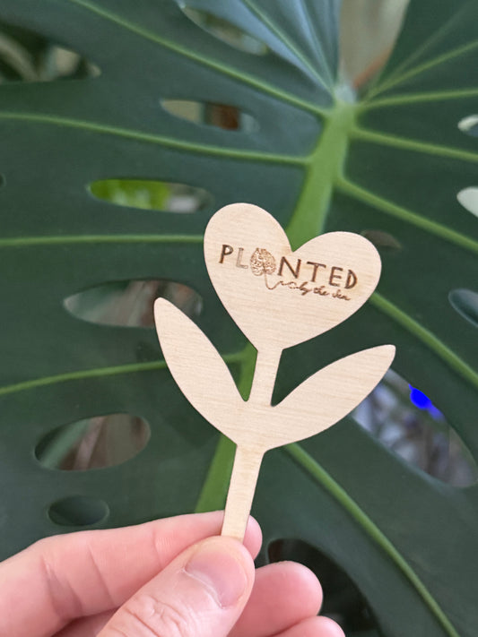 Planted Marker (Small)