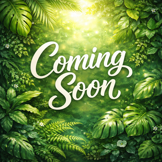 10” Fern Boston HB